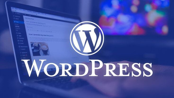 wordpress website slide2